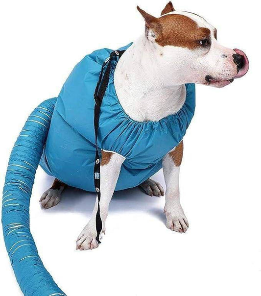 Bolsa de secado para mascotas